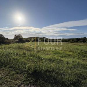 Istra, Bale - okolica, poljoprivredno zemljište, 2.403m2