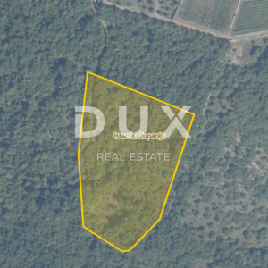 ISTRA, BALE - Poljoprivredno zemljište od 13408 m2 s fantastičnim pogledom