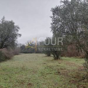 Istra, Bale, poljoprivredno zamljište, 3.060m2