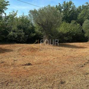 Istra, Bale, poljoprivredno zamljište, 3.060m2