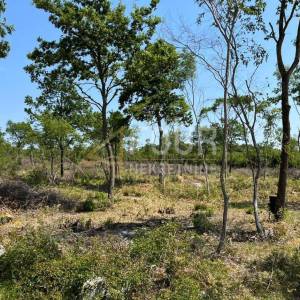 Istra, Bale, poljoprivredno zemljište 26.697m2
