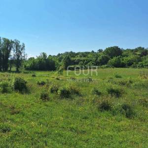 Istra, Bale, poljoprivredno zemljište 1.957m2