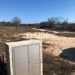 ISTRA, BARBAN - Građevinski tereni s vodom i strujom i građevinskom dozvolom! PRIČA ZA IZGRADNJU KOMPLEKSA VILA!