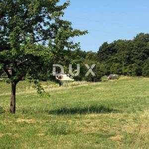 ISTRA, BARBAN - Građevinsko zemljište na mirnoj lokaciji