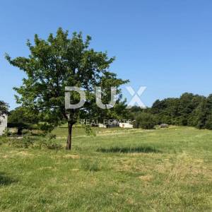 ISTRA, BARBAN - Građevinsko zemljište na mirnoj lokaciji