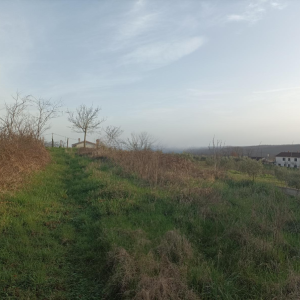 ISTRA, BARBAN - Građevinsko zemljište na mirnoj lokaciji