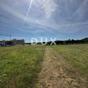 ISTRA, BARBAN - Građevinsko zemljište za gradnju kompleksa vila! PRILKA ZA INVESTICIJU!