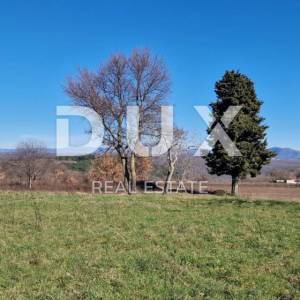 ISTRA, BARBAN - Građevinsko zemljište otvorenog pogleda, rub naselja