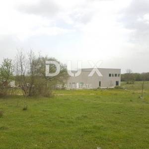 ISTRA, BARBAN - Građevinsko zemljište sa proizvodnom halom, 29456 m2