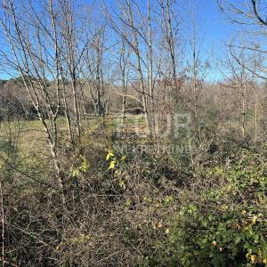 Istra, Barban, građevinsko zemljište 970m2