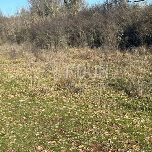 Istra, Barban, građevinsko zemljište 970m2