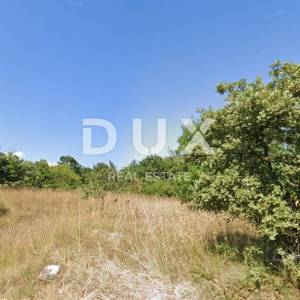 ISTRA, BARBAN - Kompleks građevinskog 600 m2 i poljoprivrednog 10133 m2 na rubu mirnog naselja