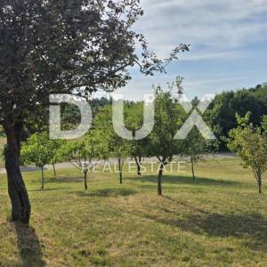 ISTRA, BARBAN - Kuća u srcu Istre s pogledom, privatnošću i potencijalom