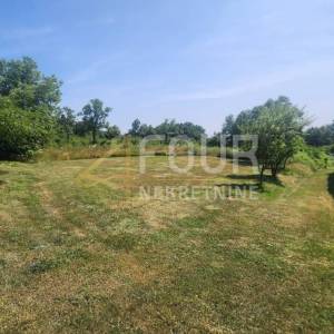 Istra, Barban - okolica, građevinsko zemljište, 589m2