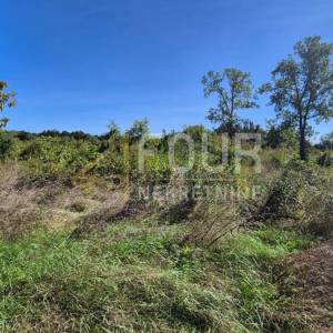 Istra, Barban - okolica, građevinsko zemljište, 589m2