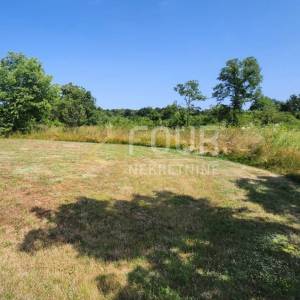 Istra, Barban - okolica, građevinsko zemljište, 600m2