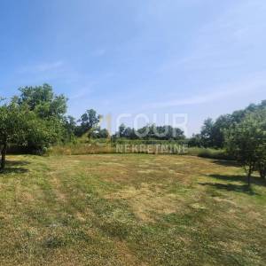 Istra, Barban - okolica, građevinsko zemljište, 600m2