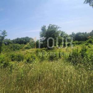 Istra, Barban - okolica, građevinsko zemljište, 600m2