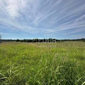 Istra, Barban - okolica, zemljište 5.832m2 s projektom za 6 luskuznih vila s bazenima