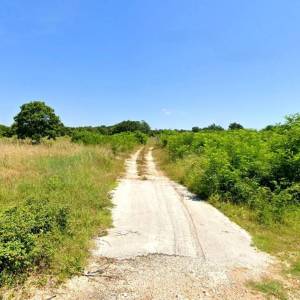 ISTRA, BARBAN - Pogodna prilika za investiciju; atraktivno zemljište