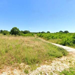 ISTRA, BARBAN - Pogodna prilika za investiciju; atraktivno zemljište