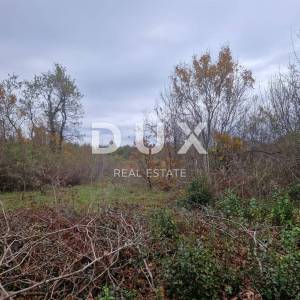 ISTRA, BARBAN - Poljoprivredno zemljište