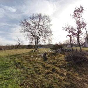 ISTRA, BARBAN - PRILIKA - URBANIZIRANO ZEMLJIŠTE ŠAJINI 4.656m2