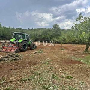 ISTRA, BARBAN - Prostrano građevinsko zemljište u blizini centra naselja