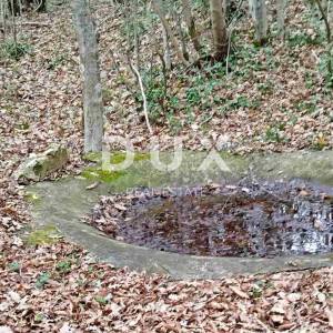 ISTRA, BARBAN - Prostrano zemljište
