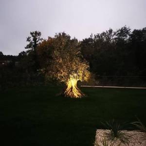 ISTRA, BARBAN - Visokokvalitetna kamena vila s bazenom
