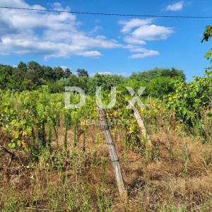 ISTRA, BARBAN - Zemljište s projektom zadnje u građevinskoj zoni