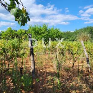 ISTRA, BARBAN - Zemljište s projektom zadnje u građevinskoj zoni