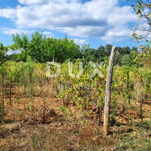 ISTRA, BARBAN - Zemljište s projektom zadnje u građevinskoj zoni