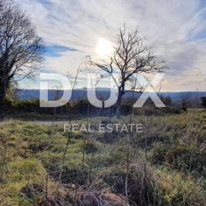 ISTRA, BARBAN - Zemljište s pravomoćnom dozvolom i plaćenim komunalijama, prekrasan pogled