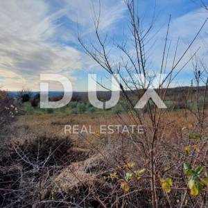 ISTRA, BARBAN - Zemljište s pravomoćnom dozvolom i plaćenim komunalijama, prekrasan pogled