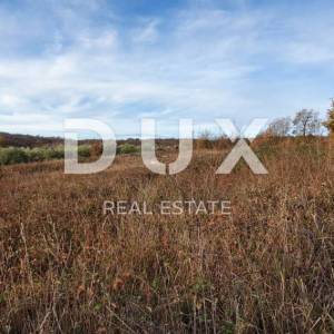 ISTRA, BARBAN - Zemljište s pravomoćnom dozvolom i plaćenim komunalijama, prekrasan pogled