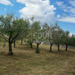 Istra, Barbariga, gospodarska zgrada na parceli 4.768m2