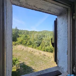 Istra, Boljun, veliko imanje s kamenom kućom - SAMO KOD NAS !