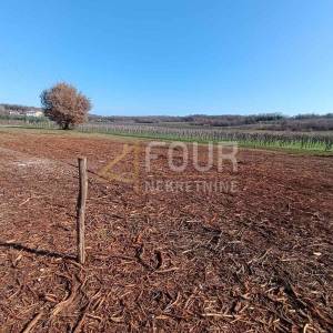 Istra, Brtonigla, građevinsko zemljište 1.483m2