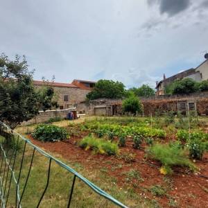 ISTRA, BRTONIGLA - Kamena kuća s velikom okućnicom