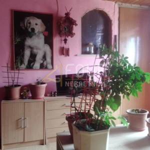 Istra, Brtonigla, kuća u nizu, 150m2, konoba