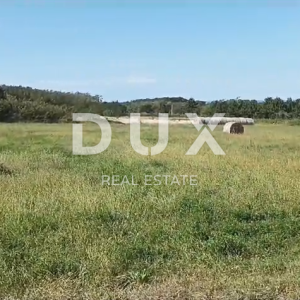 ISTRA, BRTONIGLA - Prekrasna livada površine 7596 m2