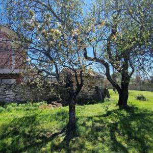 ISTRA, BRTONIGLA - Tradicionalna istarska kuća