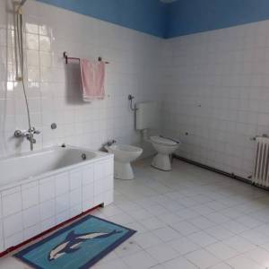 ISTRA, BRTONIGLA - Useljiva katnica, 160 m2