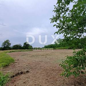 ISTRA, BRTONIGLA - Zemljište s građevinskom dozvolom i panoramskim pogledom