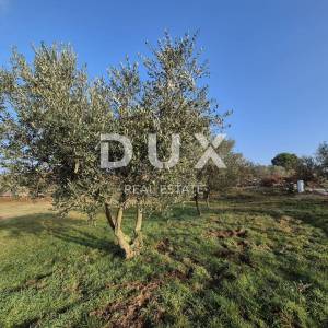 ISTRA, BUJE - Građevinsko zemljište na iznimnoj lokaciji, otvoreni pogled