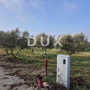 ISTRA, BUJE - Građevinsko zemljište na iznimnoj lokaciji, otvoreni pogled