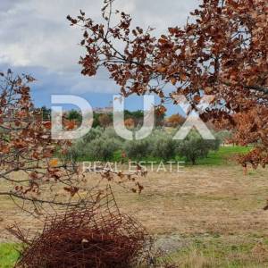 ISTRA, BUJE - Građevinsko zemljište na iznimnoj lokaciji, otvoreni pogled