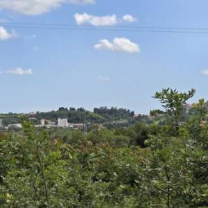 ISTRA, BUJE - Građevinsko zemljište s dozvolom za prizemnicu s bazenom, prekrasan pogled na more