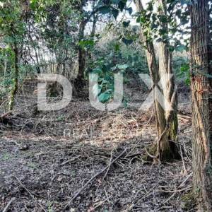 ISTRA, BUJE - Građevinsko zemljište 1150m2 sa ruševinom u okolici Buja